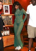Rihanna in a mesh dress