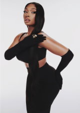 Megan Thee Stallion Hot Pictures