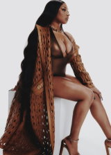 Megan Thee Stallion Hot Pictures
