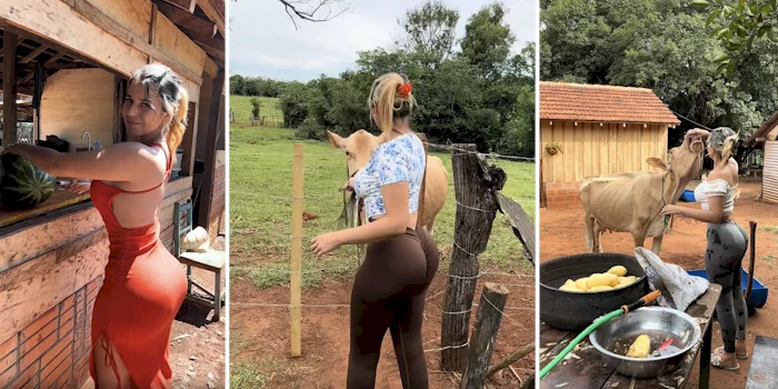 Three panels of a thick girl in tight clothing feeding animals on a farm.