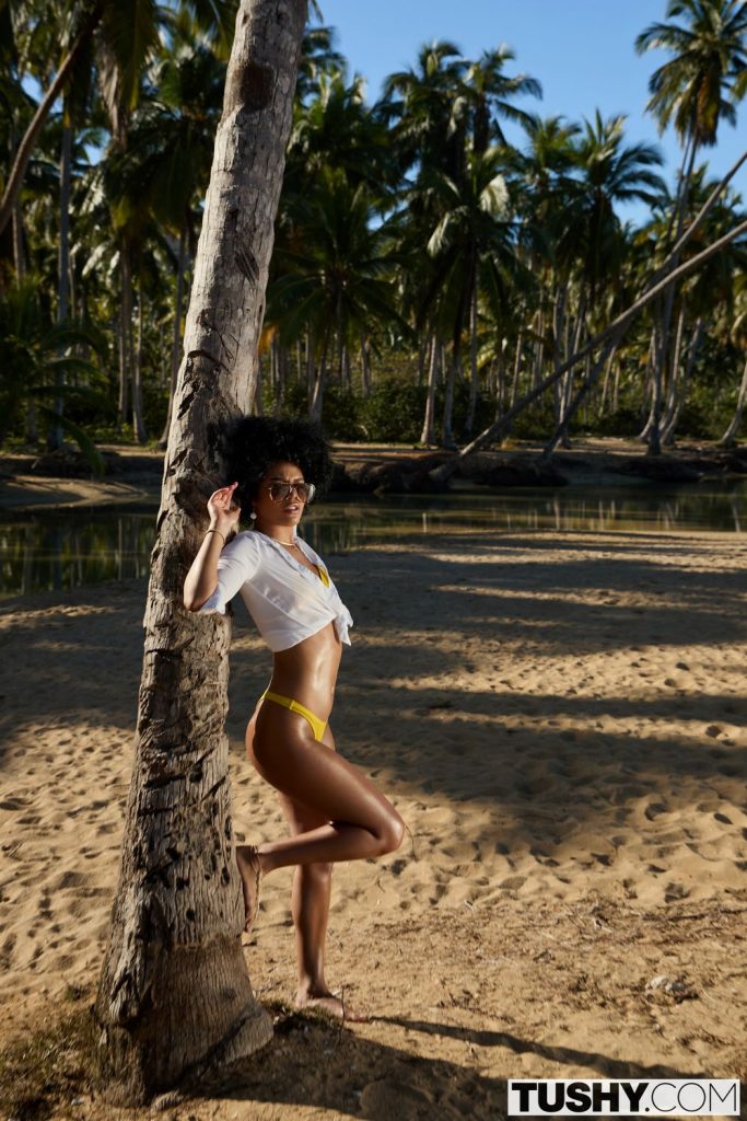 A woman in a white tied shirt and yellow bikini bottom poses against a palm tree on a sandy tropical beach, with palm trees and water in the background. The sun casts shadows across the scene.