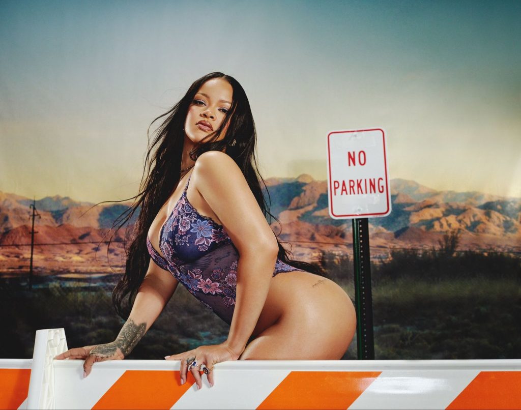 A woman in a purple lace outfit poses on a white-and-orange barricade in front of a No Parking sign, with desert mountains and a sunset sky in the background.