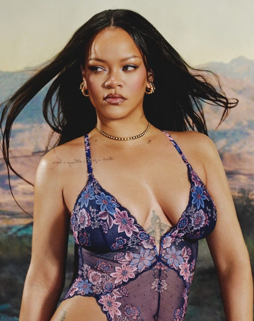Rihanna posing in a dark blue floral lace bodysuit against a desert landscape backdrop. She has long, wind-blown dark hair, wears gold jewelry, and looks off to the side with a serious expression.