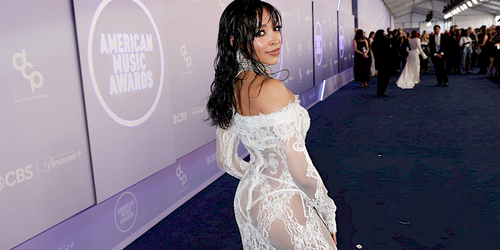 Tinashe posing on the red carpet at the American Music Awards wearing a white lace off-the-shoulder gown.