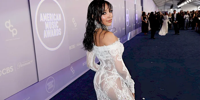 Tinashe posing on the red carpet at the American Music Awards wearing a white lace off-the-shoulder gown.