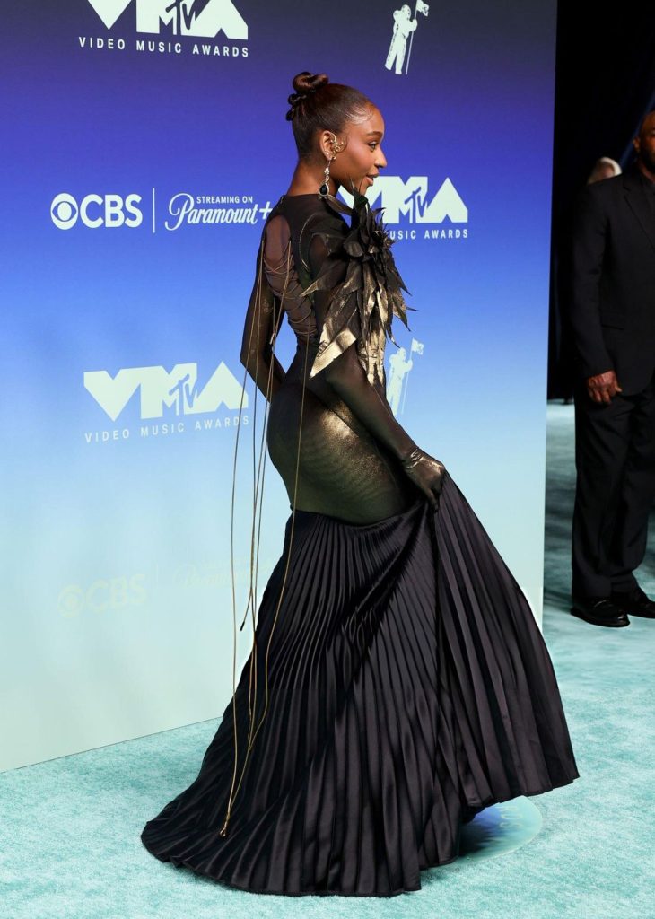 A person in a black, long-sleeved gown with a large feather accent and a pleated skirt stands on a blue carpet in front of a Video Music Awards backdrop.