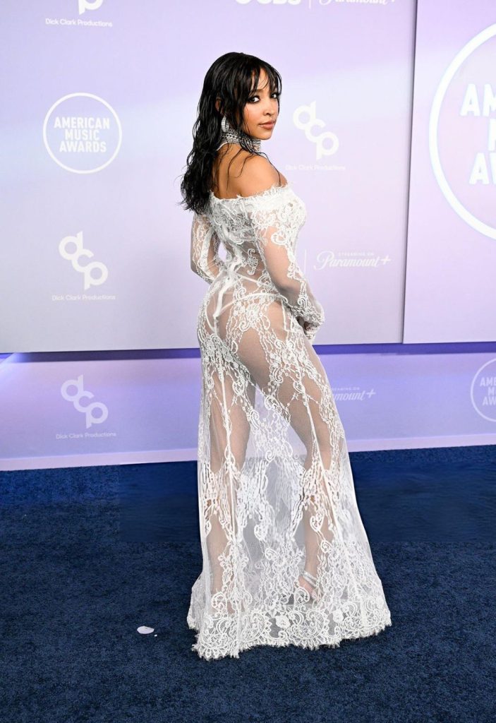 Tinashe poses on a blue carpet in a sheer, floor-length white lace gown with off-the-shoulder sleeves.
